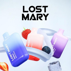 Lost Mary